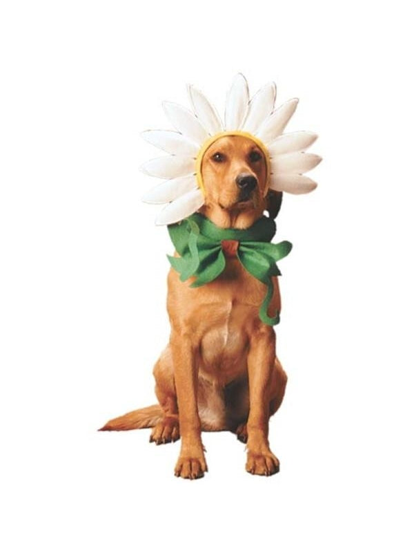 Dogs Daisy Costume-COSTUMEISH
