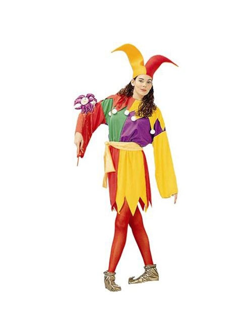 Adult Court Jester Costume-COSTUMEISH
