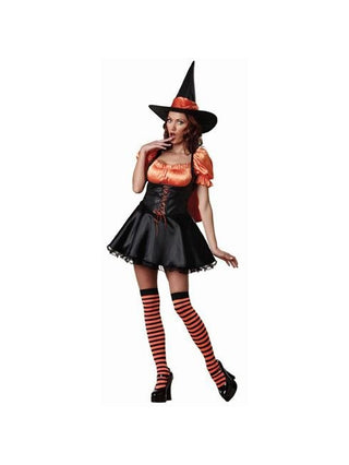 Adult Wicked Witch Costume-COSTUMEISH