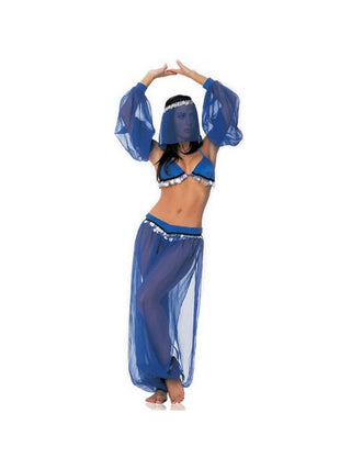 Adult Arabian Dancer Costume-COSTUMEISH