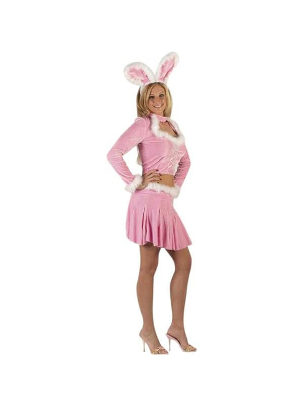 Adult Sexy Pink Mini Dress Bunny Costume-COSTUMEISH